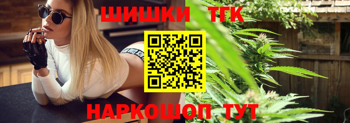 Канабис сатива Сегежа